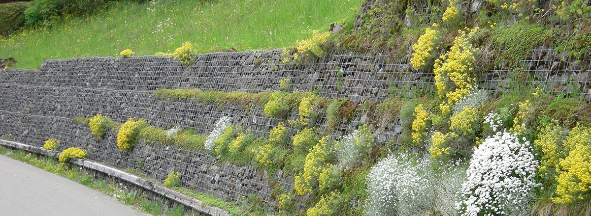 Hangbefestigung Ihr Galabauer In Dortmund Grunpartner Kley